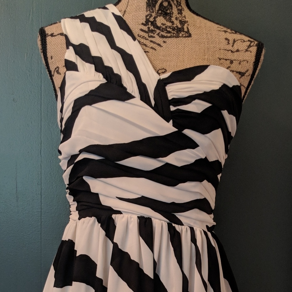 🦓 Express Zebra Print Dress 🦓